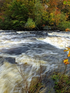 Autumn creek ecology photo