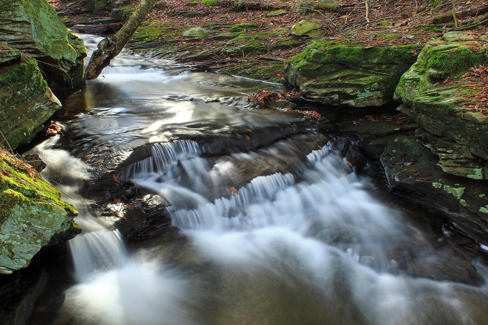 Creek ecology environment photo