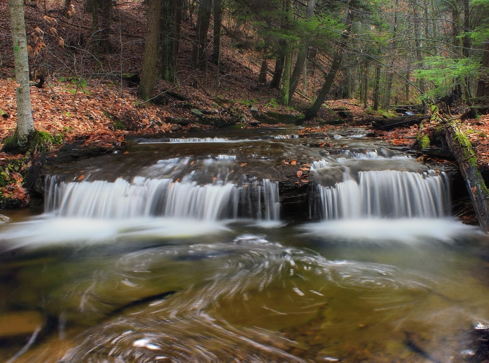 Creek ecology environment