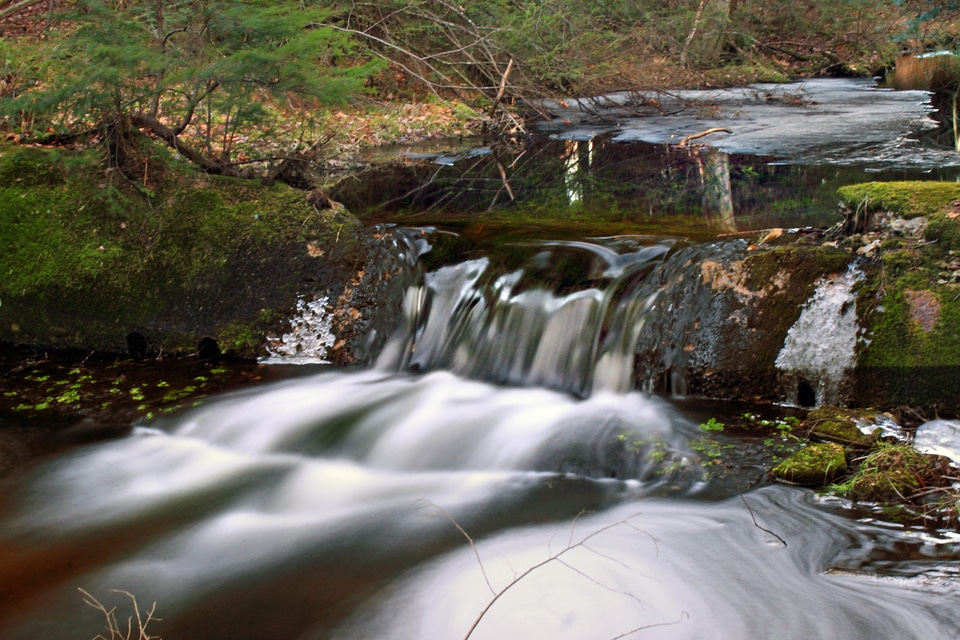 Creek ecology environment