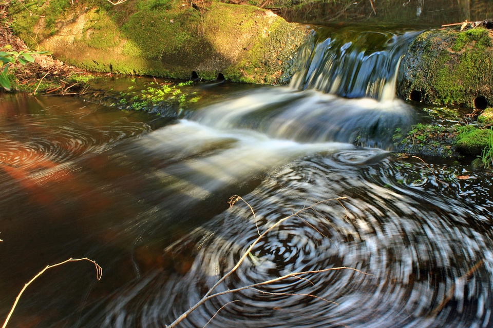 Creek ecology environment