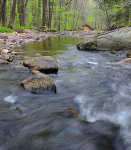 Creek ecology environment photo