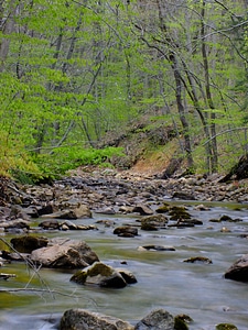 Branch climate creek