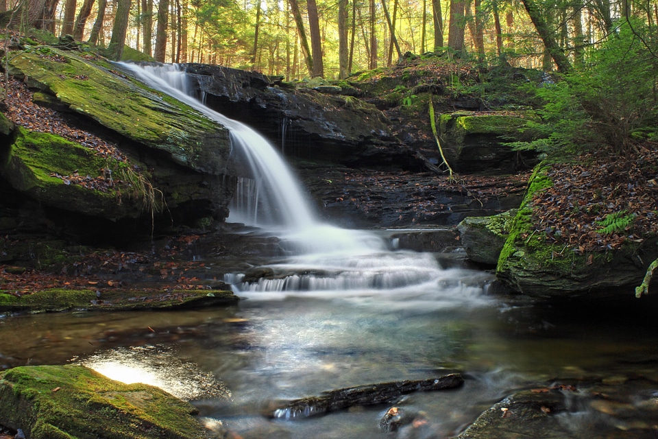 Creek ecology environment
