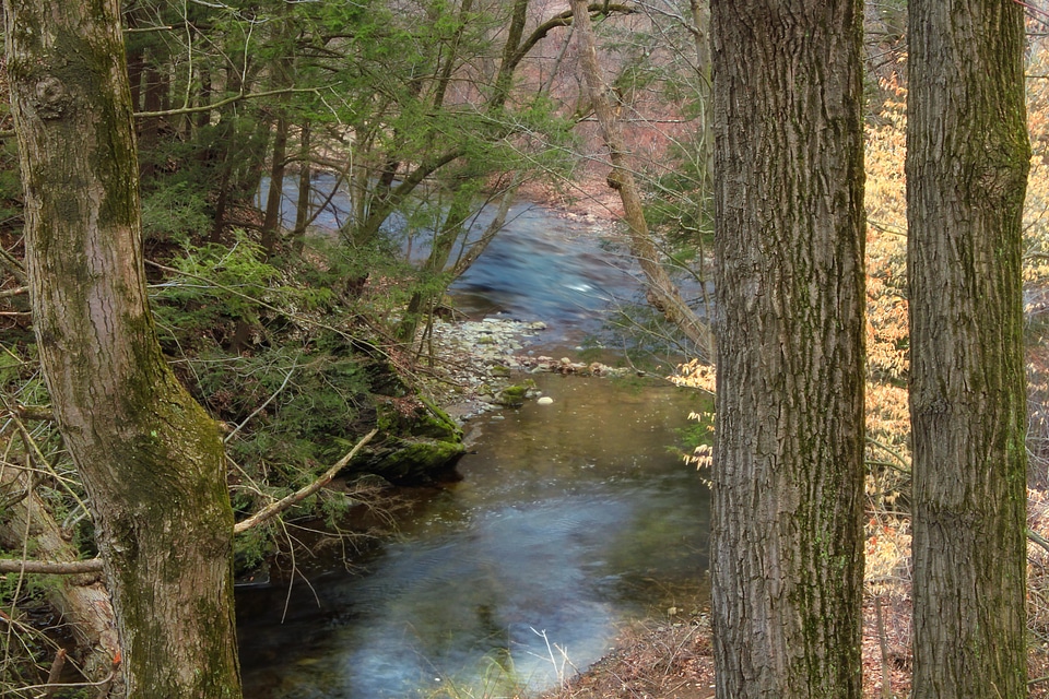 Creek ecology environment
