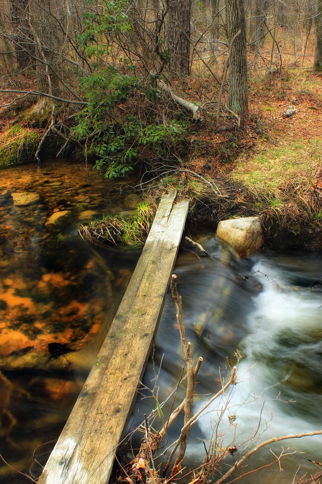 Creek ecology environment