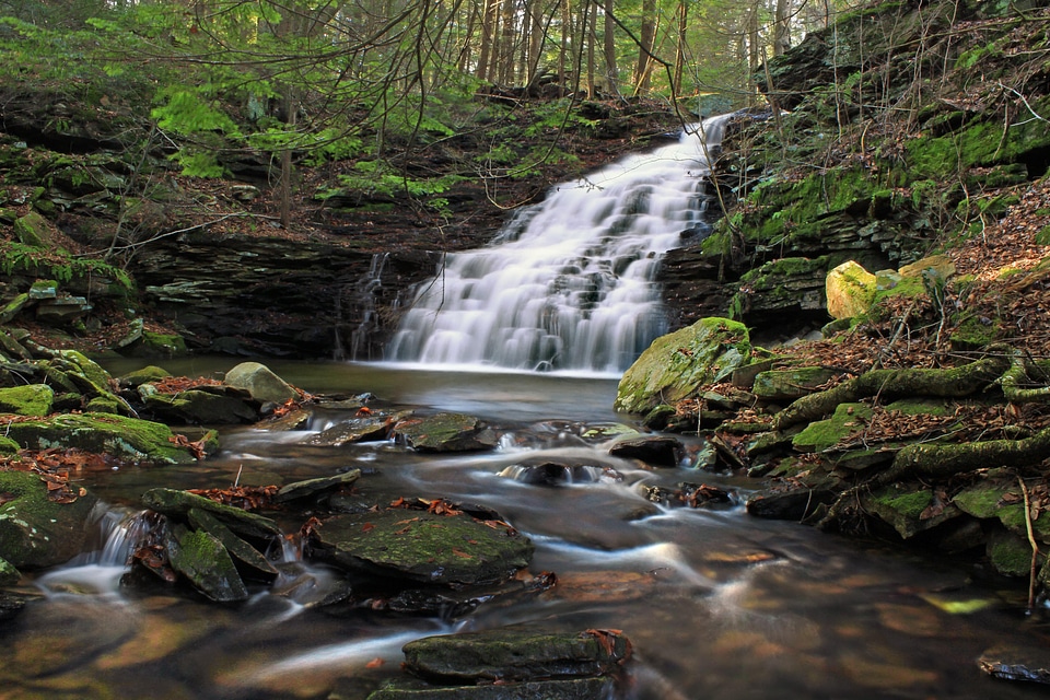 Beautiful Photo creek ecology