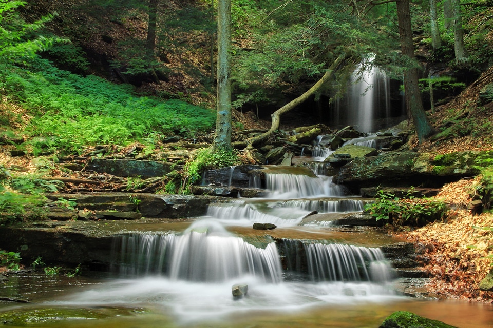 Beautiful Photo creek dam