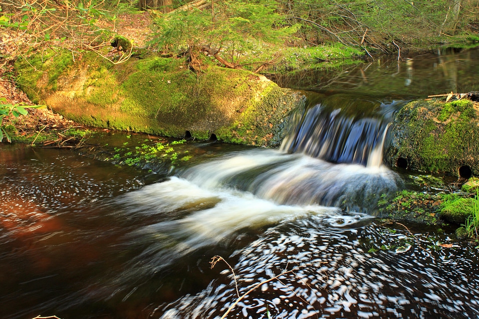 Creek ecology environment
