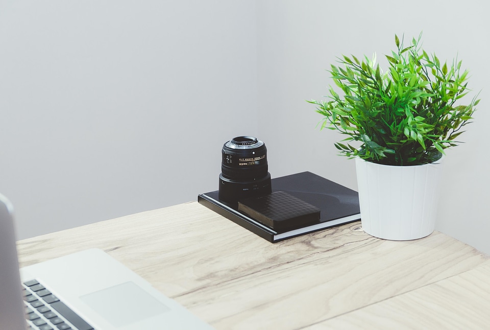 Computer desk flora