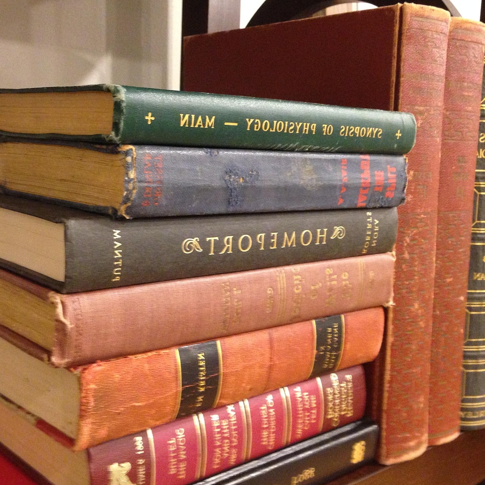 Book bookcase bookstore