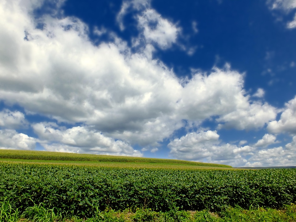 Agriculture cloud cloudy