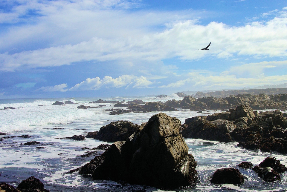 Beach cape cliff photo