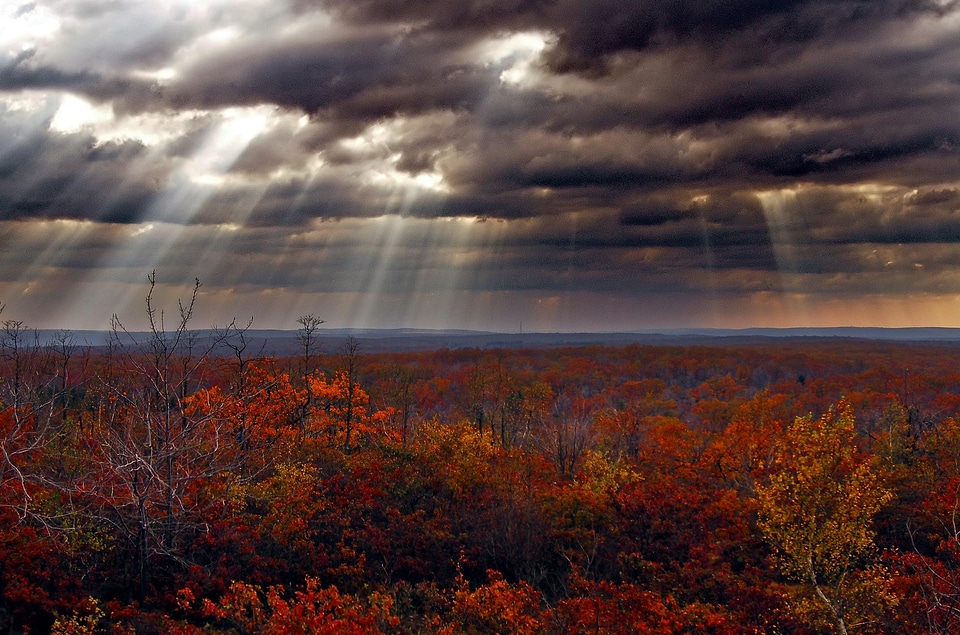 Autumn autumn season dawn