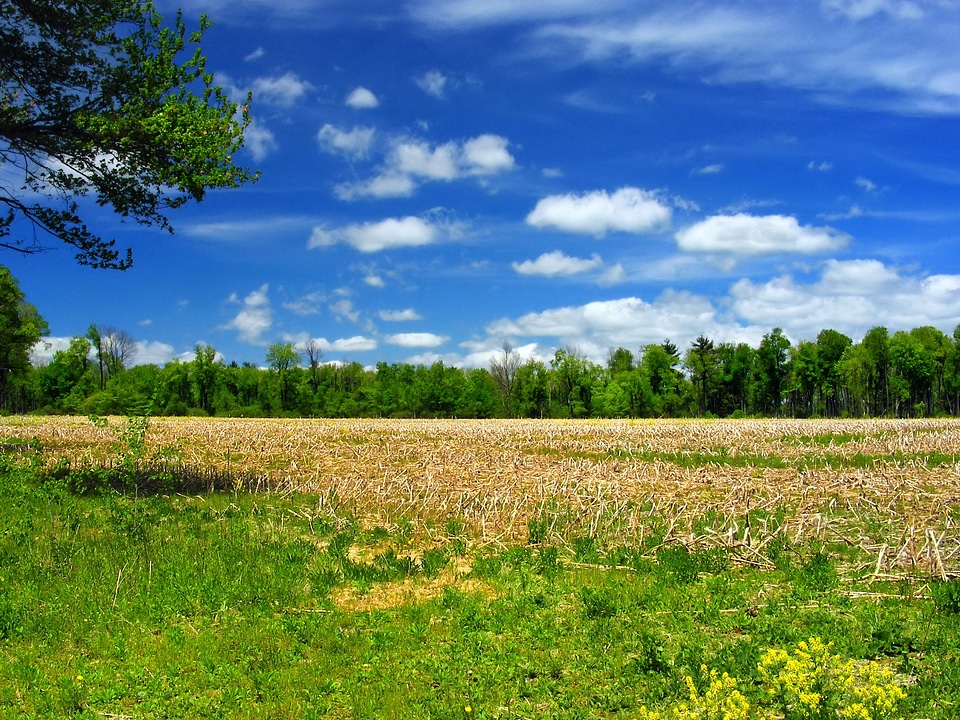 Agriculture cloud cloudy