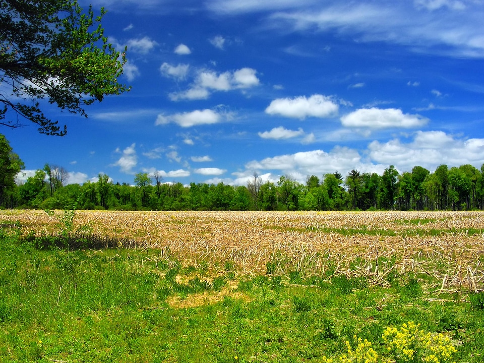 Agriculture cloud cloudy photo