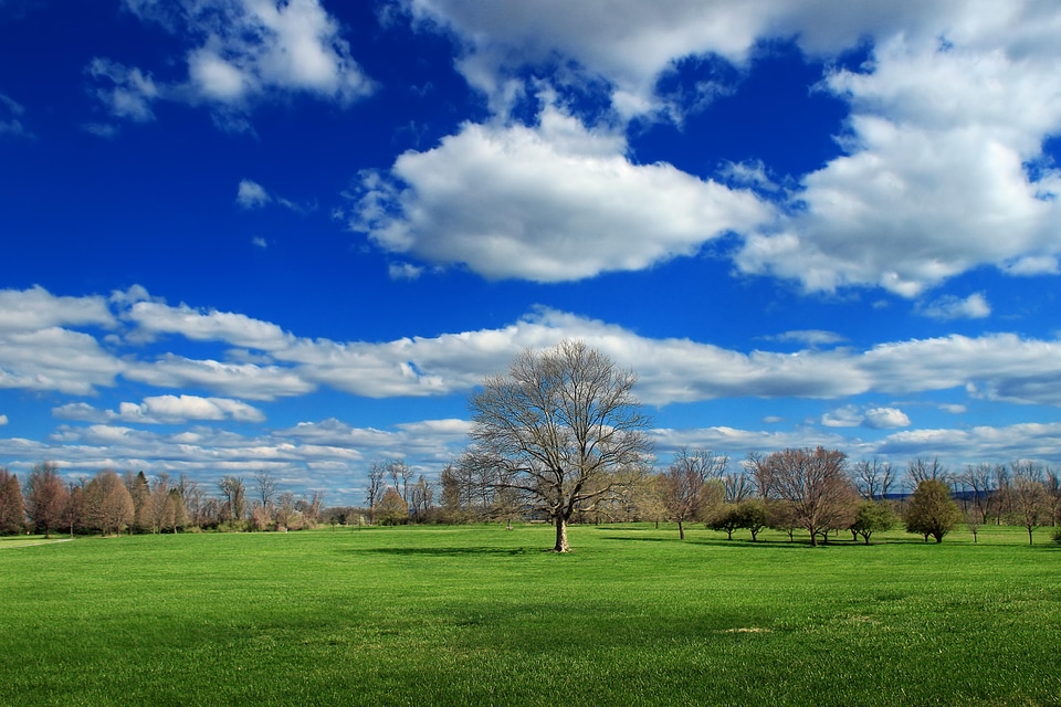 Agriculture cloud cloudy