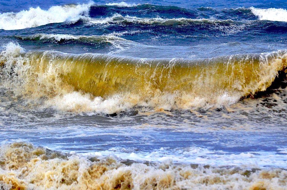 Coast coastline foam