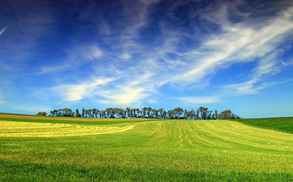 Agriculture beautiful photo cloud