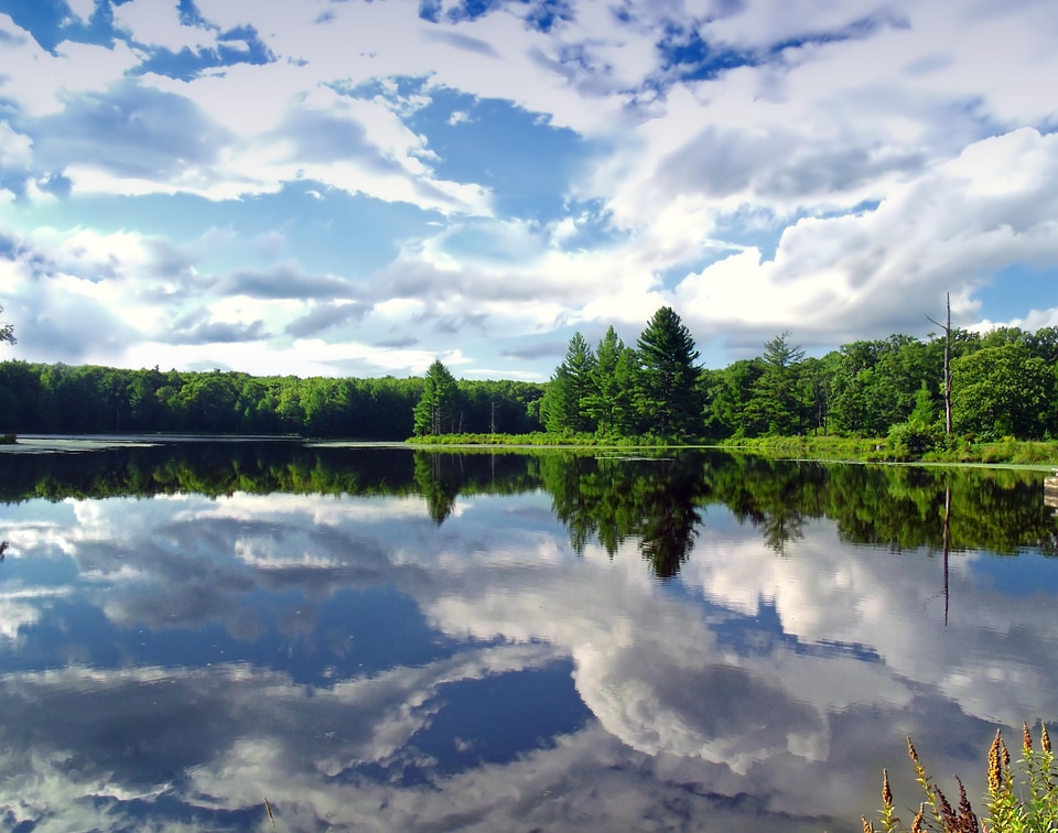 Coast lake landscape