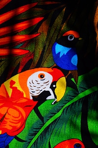 Animal world towel bath towel