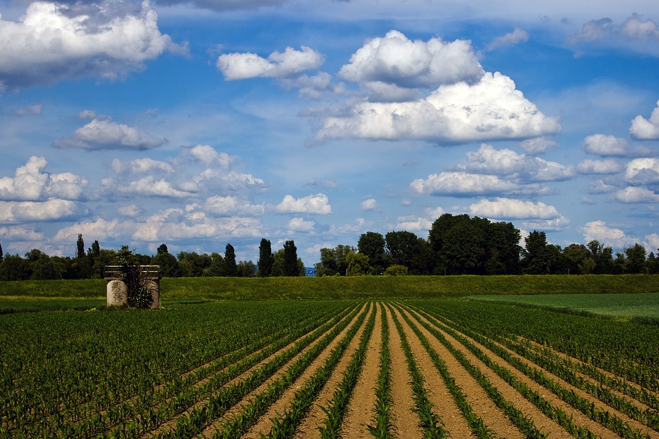 Sky blue panorama