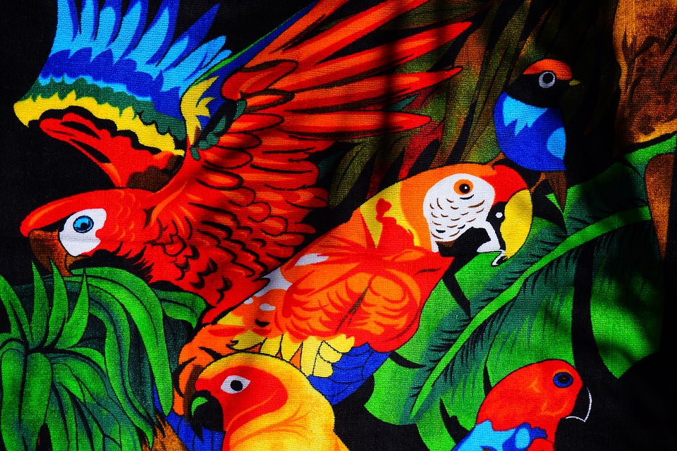 Parakeet birds towel