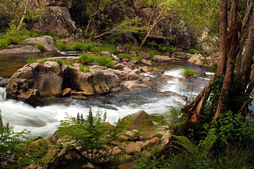 Beautiful Photo creek environment photo