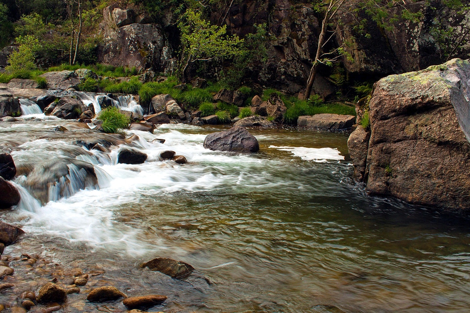 Creek crocodile environment photo