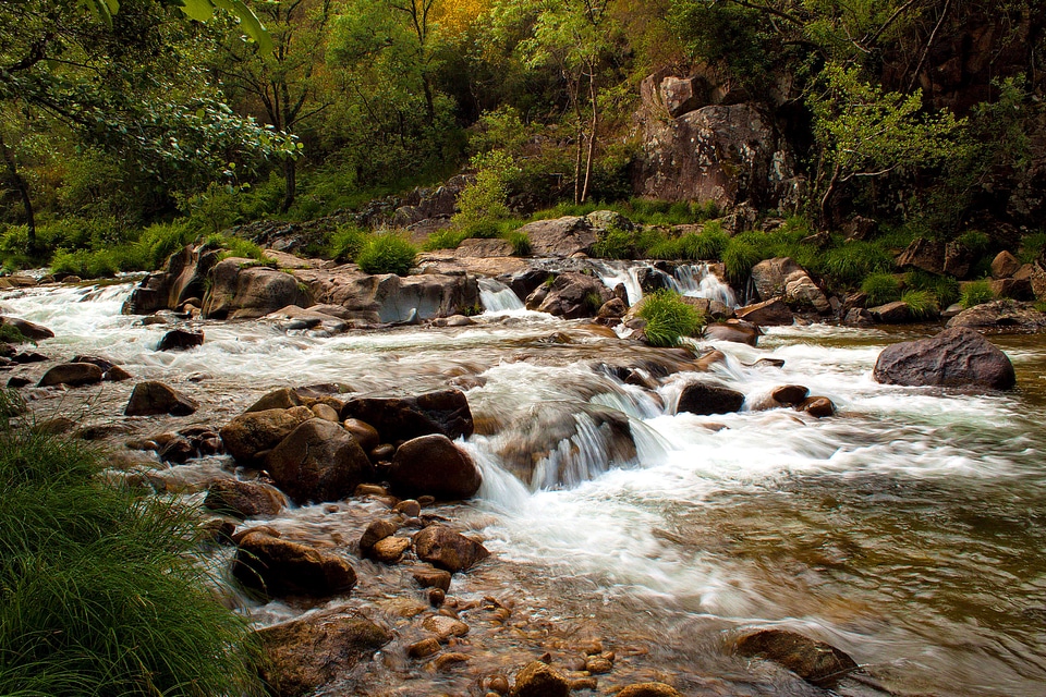 Creek environment foliage photo