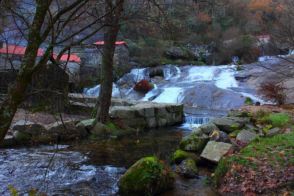 Autumn autumn season creek