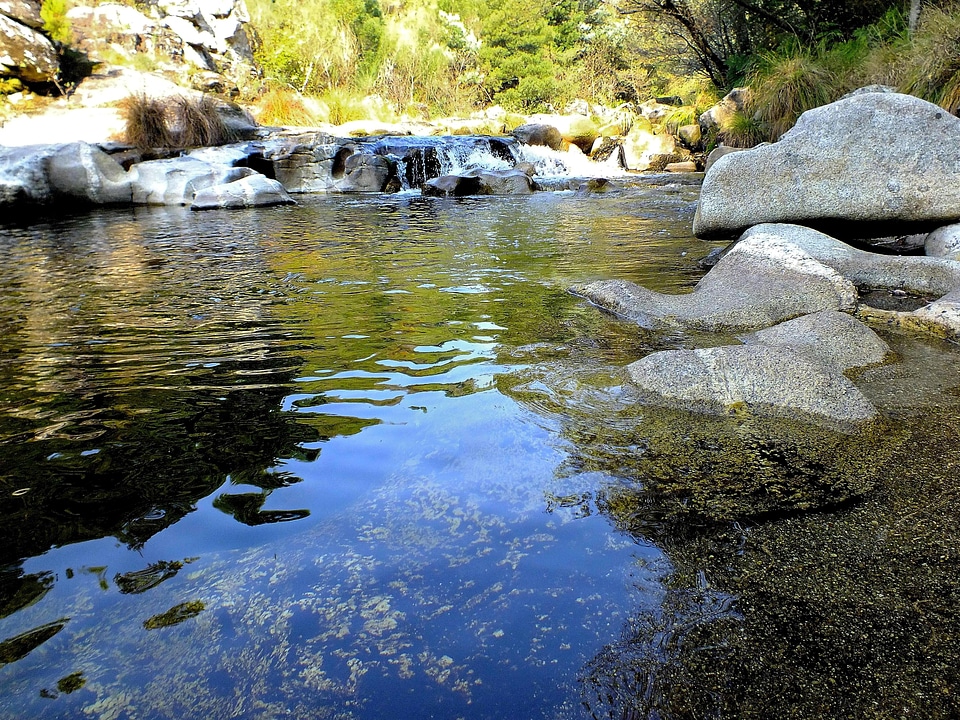 Creek environment foliage photo