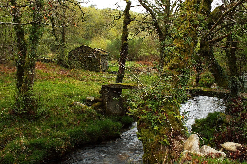 Autumn beautiful photo creek