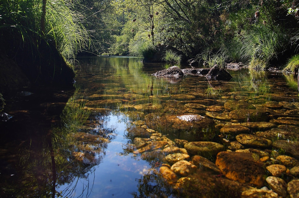 Autumn beautiful photo creek