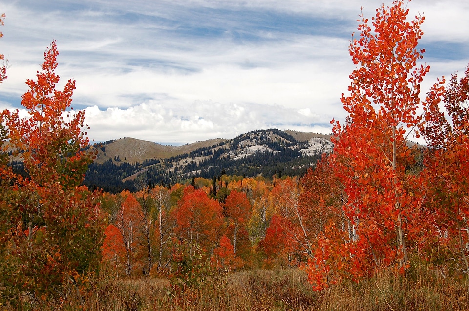 Scenery mountains autumn