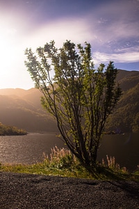 Mood autumn fjord