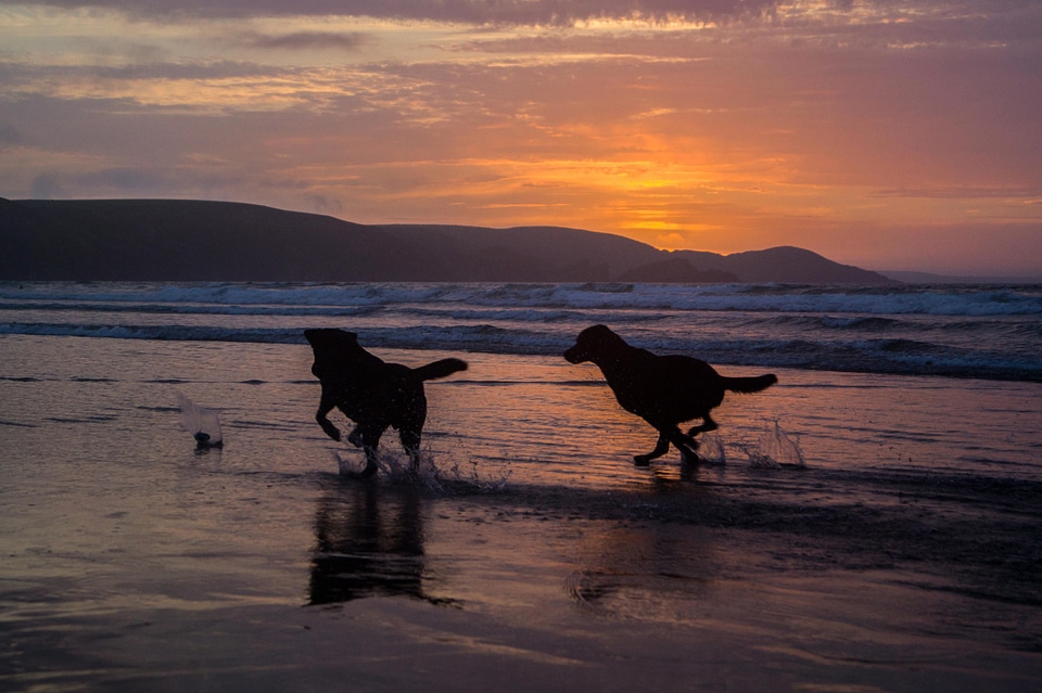 Atmosphere backlight beach