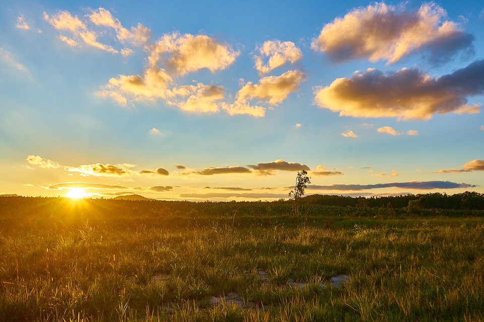Agriculture atmosphere backlight