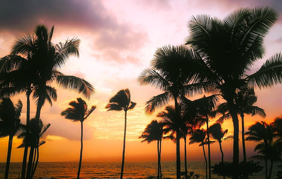 Atmosphere backlight beach