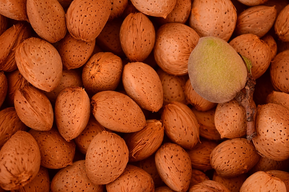 Brown diet dietary