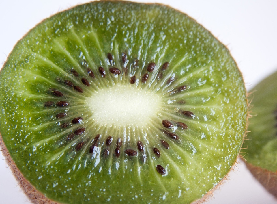 Beautiful Photo calorie dark green