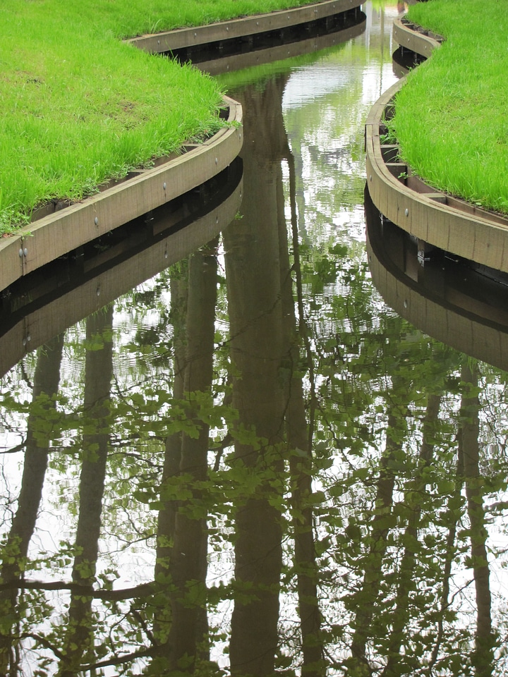 Mirroring park green area