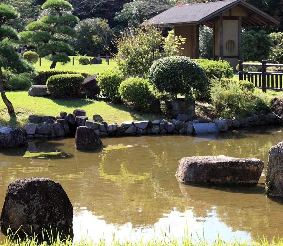 Exterior garden grass