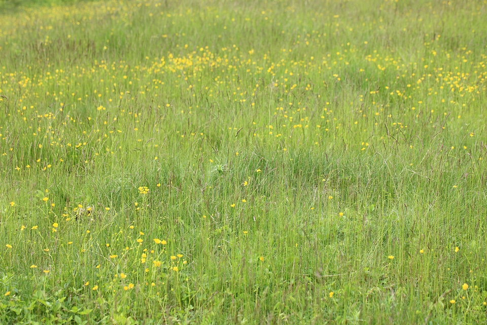 Agriculture countryside environment