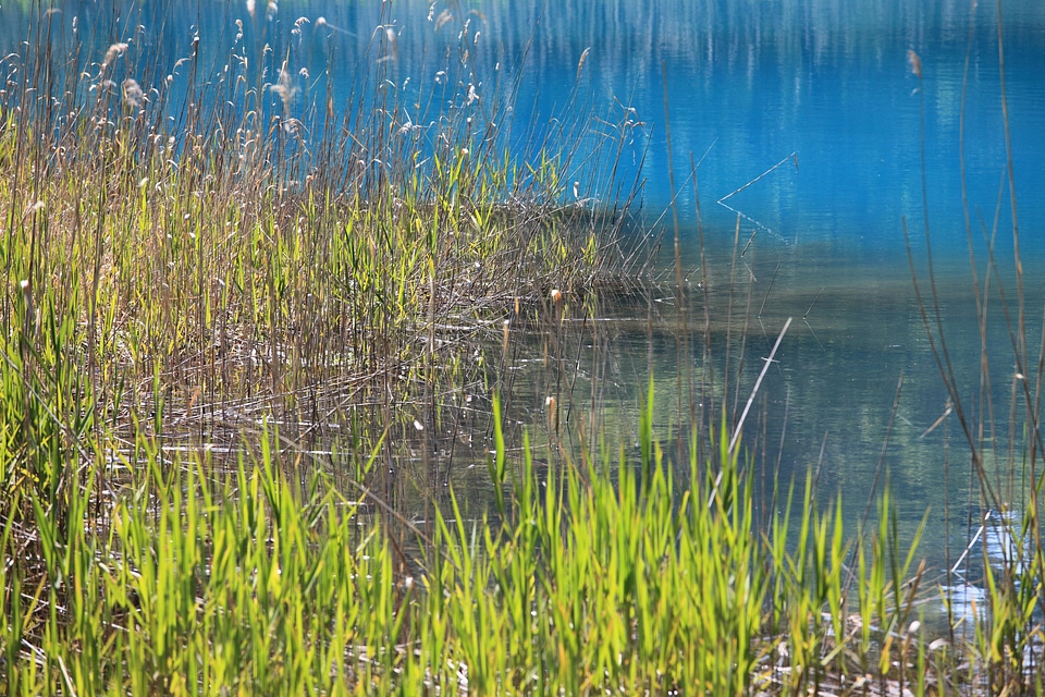 Aquatic coast environment