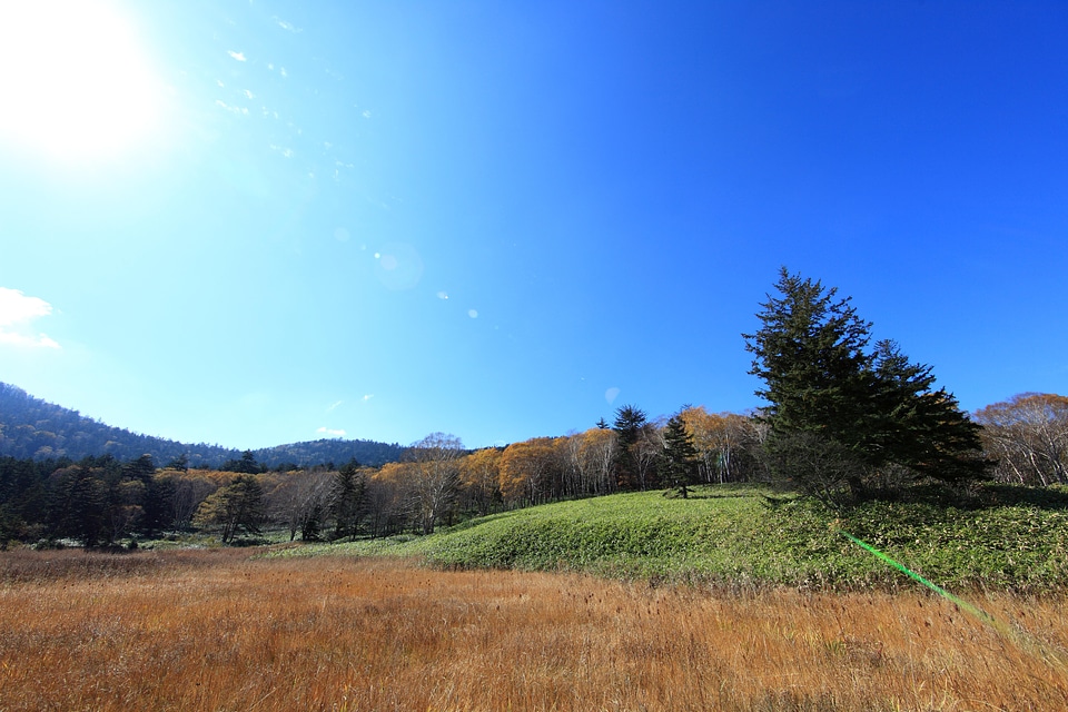 Agriculture blue sky cloud