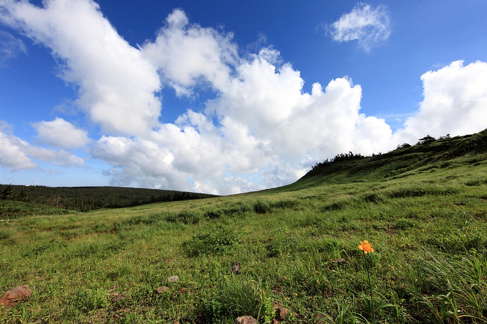 Agriculture blue sky cloud
