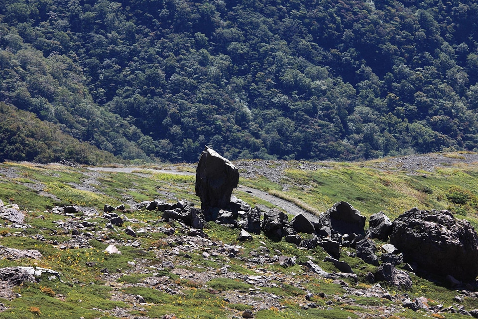 Grass hill landscape