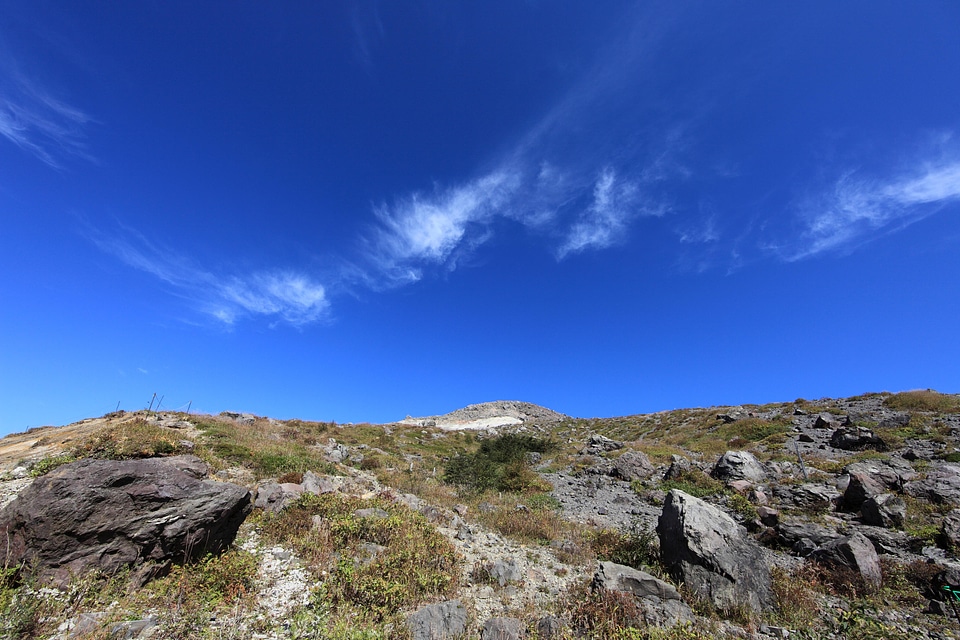 Daylight grass landscape