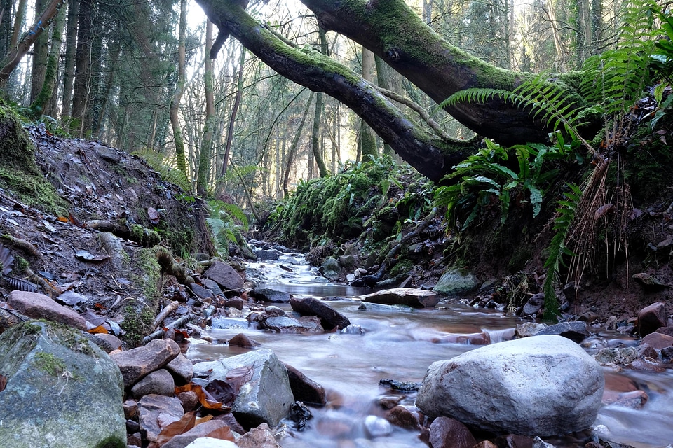 Autumn creek environment